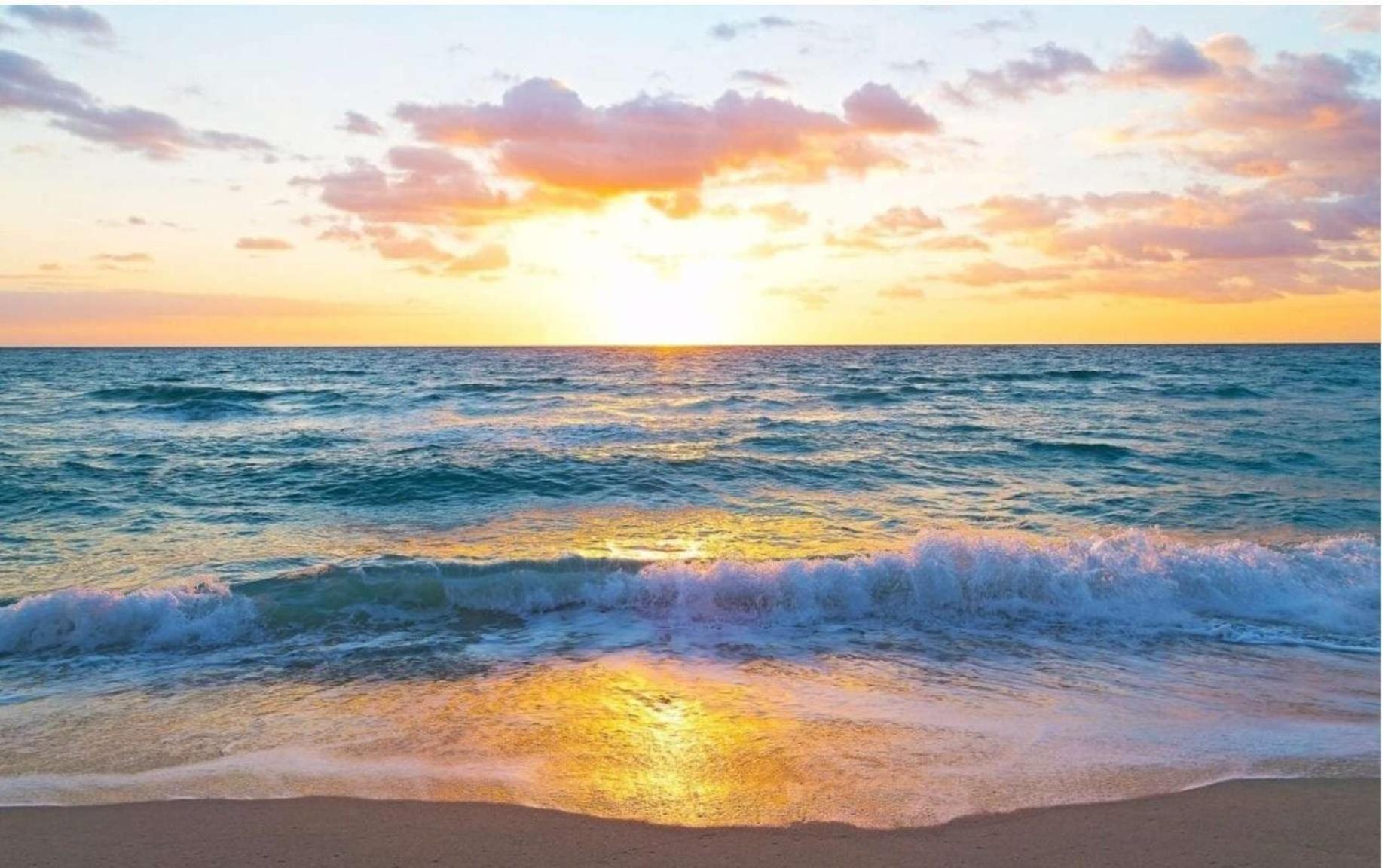 הוילה 2602 E Hallandale Beach Blvd 1 Br מראה חיצוני תמונה